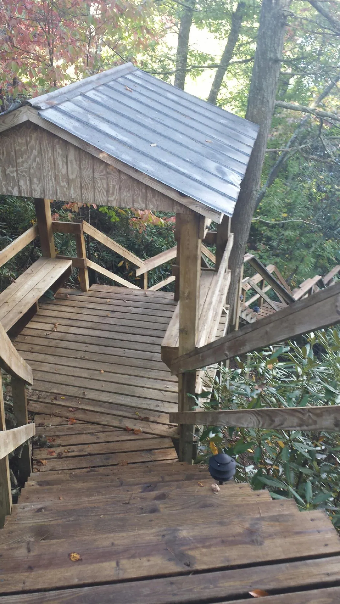 Metal roofed shelter over wooden steps on a wooded walkway — Skylight Repair & Installation work by our crew in Poplar Branch