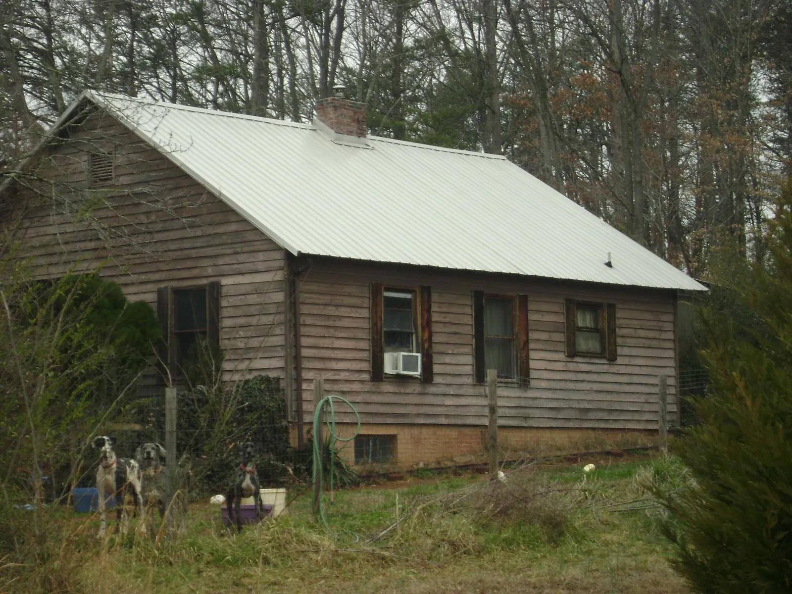 White metal roof on an old wood sided farmhouse, from a Metal Roof Installation job in Poplar Branch